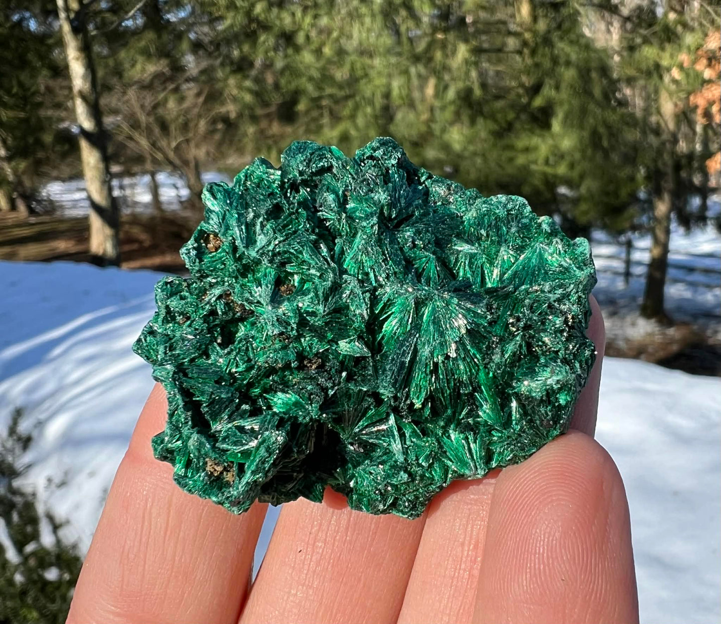 Silk Malachite Specimen #16 - Gem Realm 