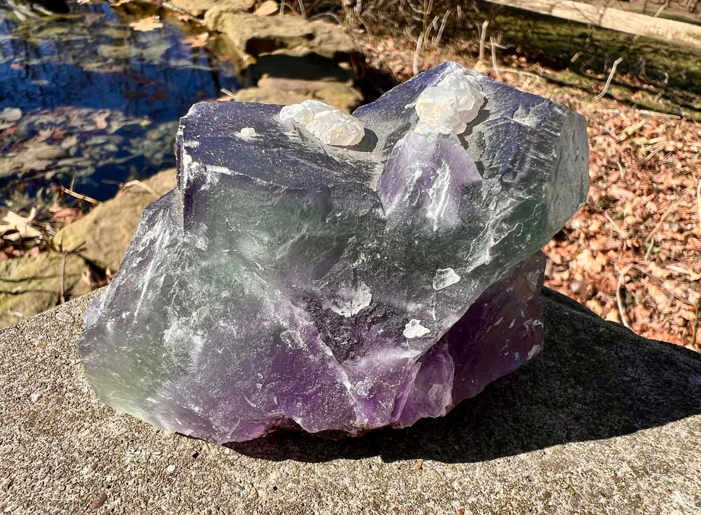 Rainbow Fluorite Specimen - Gem Realm 