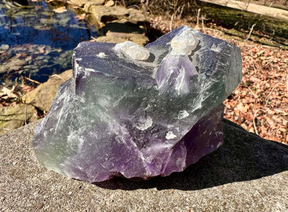 Rainbow Fluorite Specimen - Gem Realm 