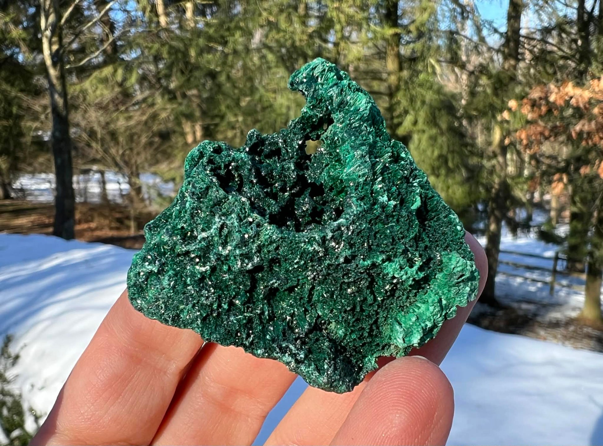 Silk Malachite Specimen #10 - Gem Realm 