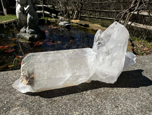 Quartz Crystal Specimen ~ with Chlorite - Gem Realm 