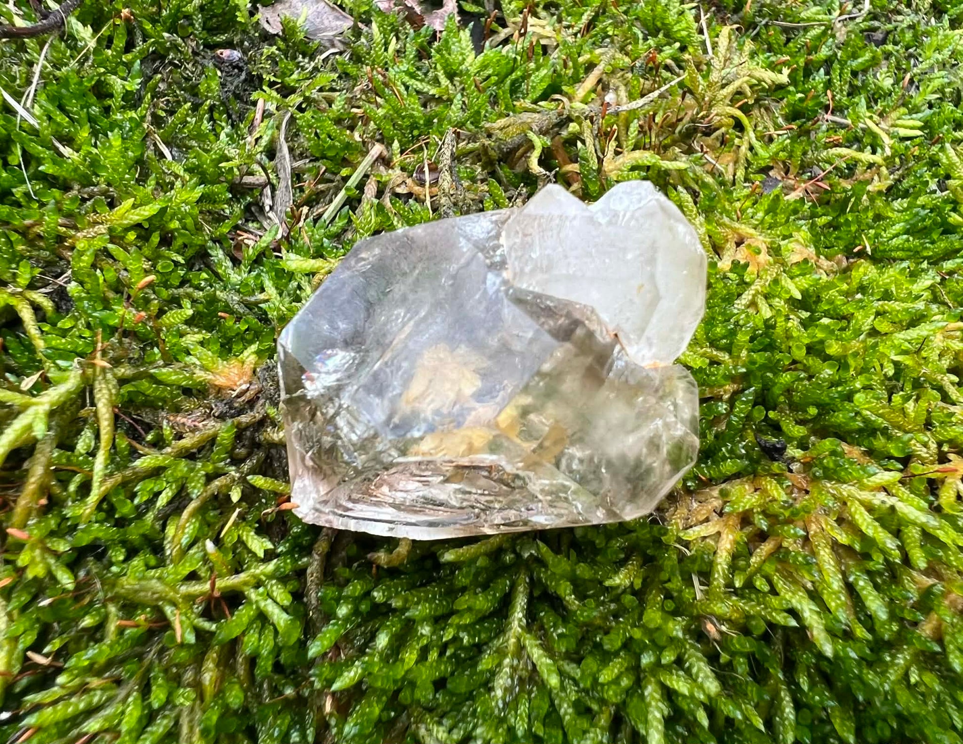 Smoky Elestial Quartz Specimen #10 - Gem Realm 