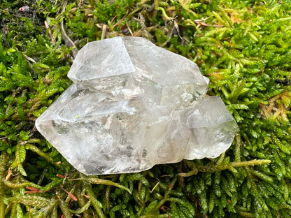 Smoky Elestial Quartz Specimen #11 - Gem Realm 