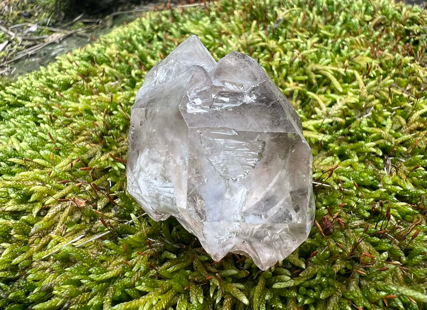 Smoky Elestial Quartz Specimen #13 - Gem Realm 