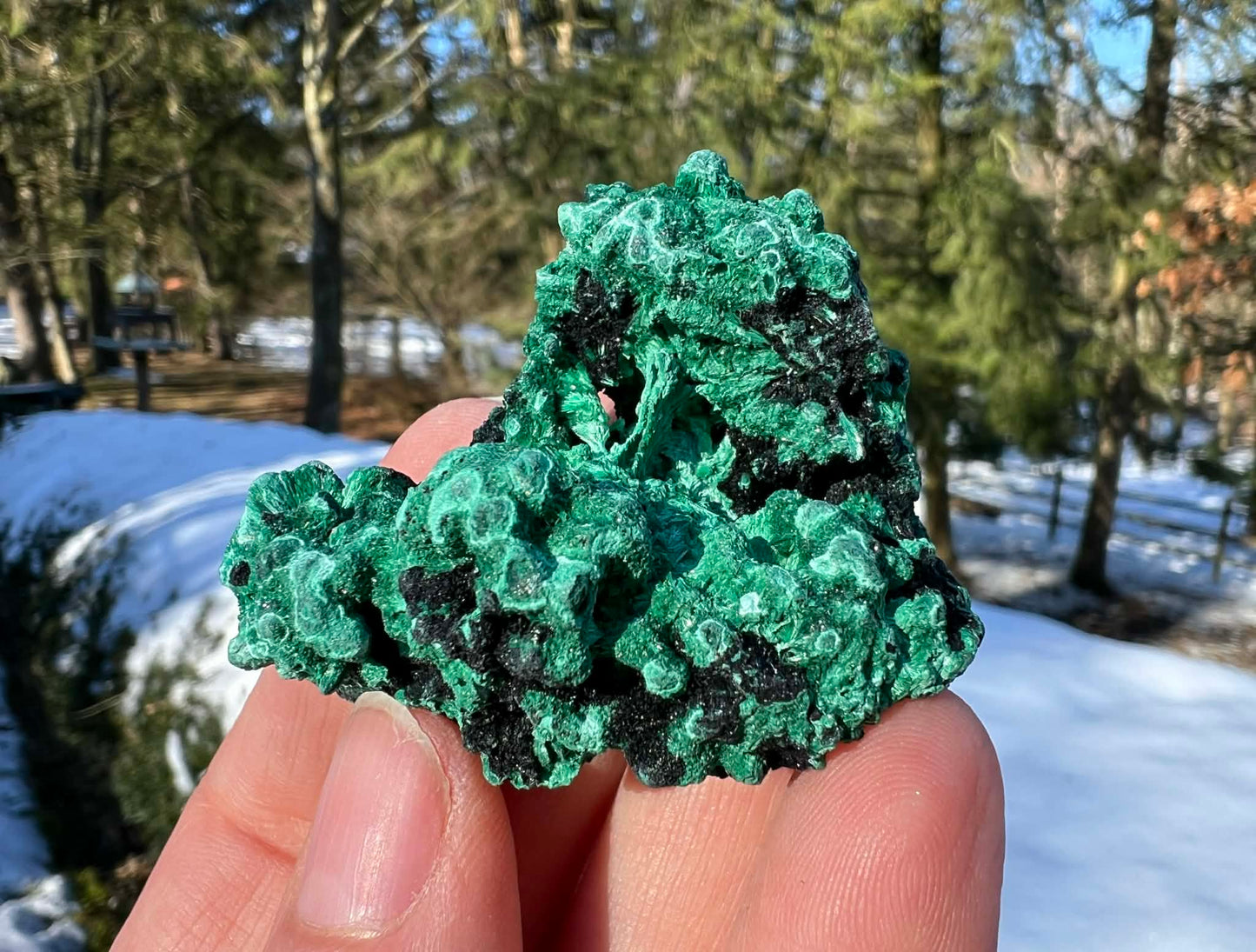 Silk Malachite Specimen #9 - Gem Realm 