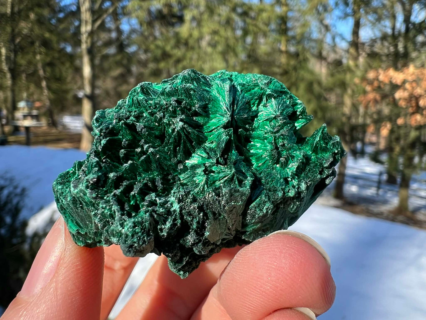 Silk Malachite Specimen #17 - Gem Realm 