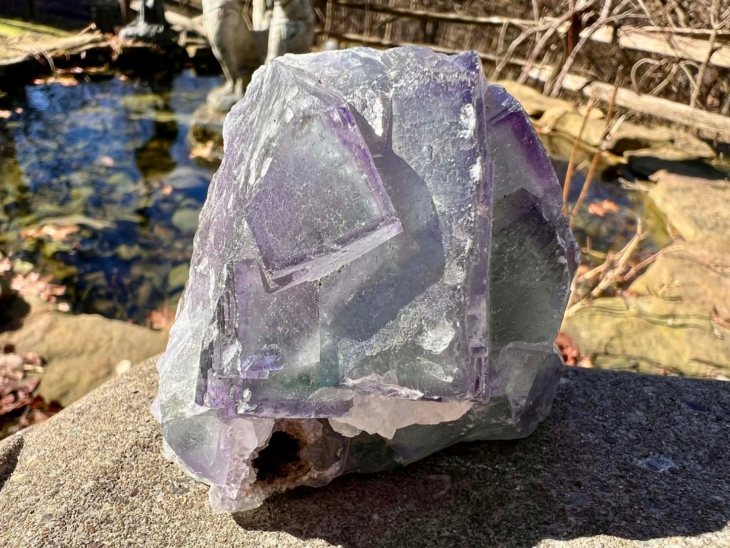 Rainbow Fluorite Specimen - Gem Realm 