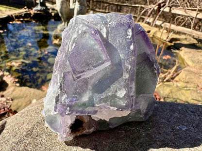 Rainbow Fluorite Specimen - Gem Realm 