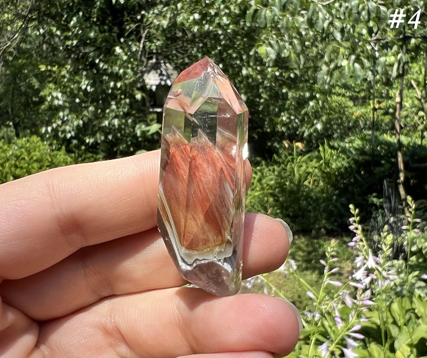 Amphibole Quartz Points