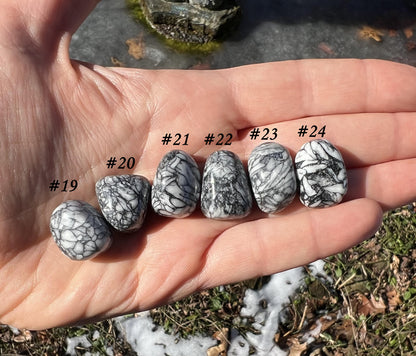 Pinolith Tumbed Stones ~ Small ~ Medium