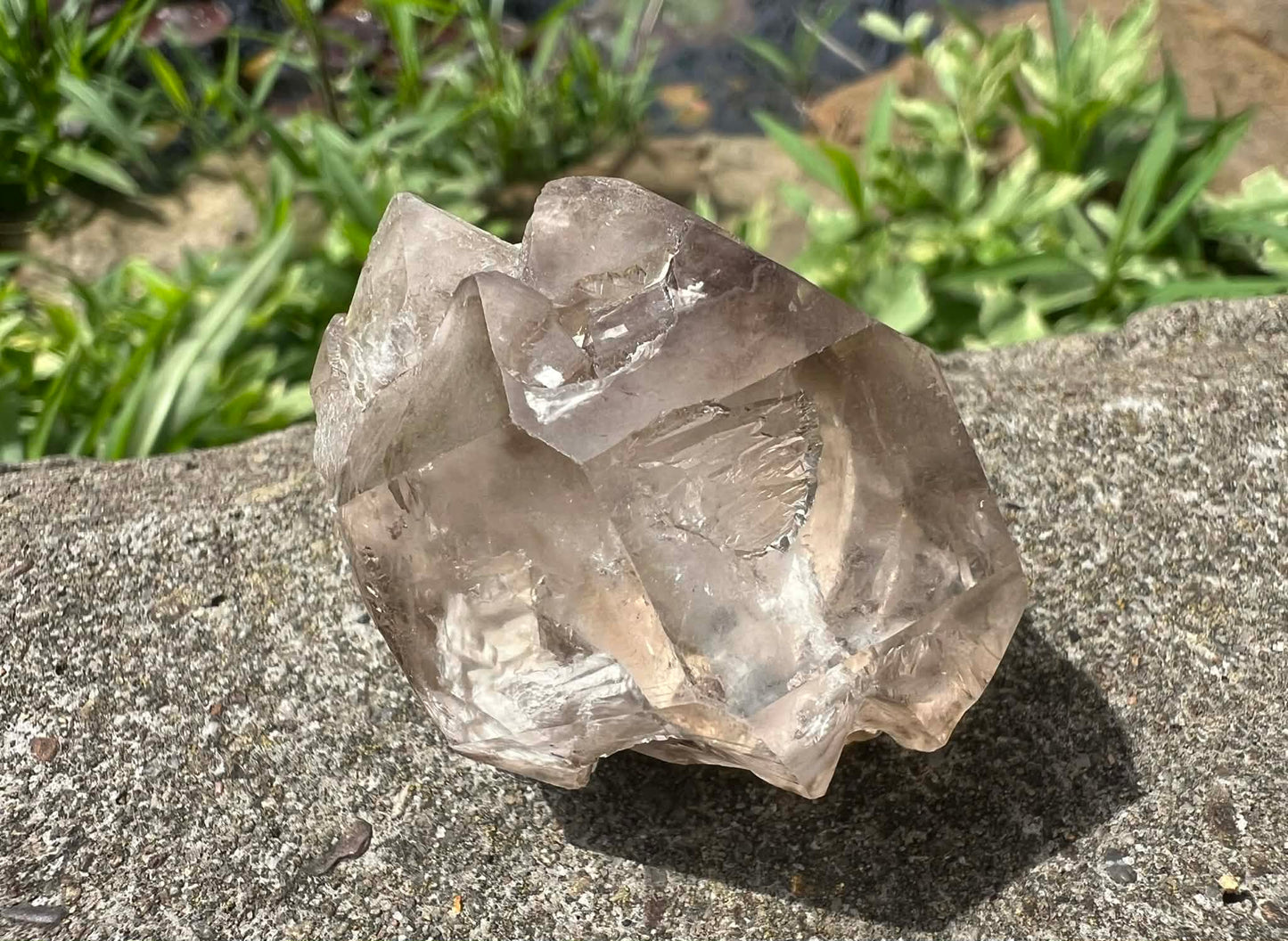 Smoky Elestial Quartz Specimen #13 - Gem Realm 