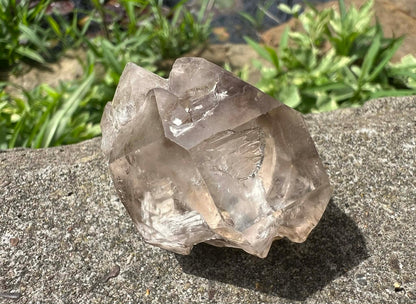 Smoky Elestial Quartz Specimen #13 - Gem Realm 
