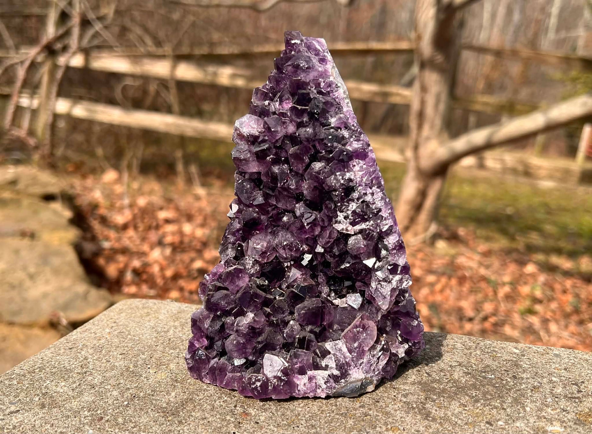 Amethyst Geode - Gem Realm 