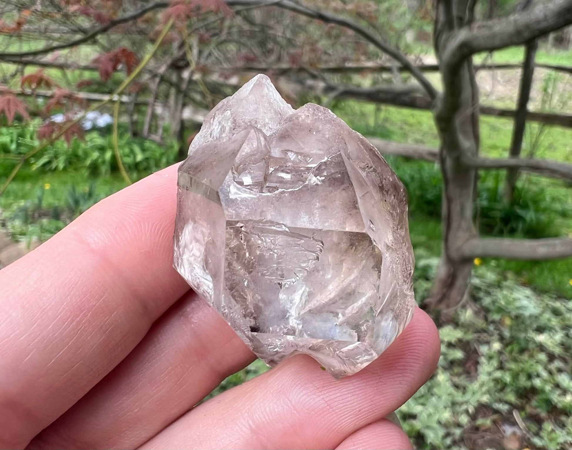 Smoky Elestial Quartz Specimen #13 - Gem Realm 