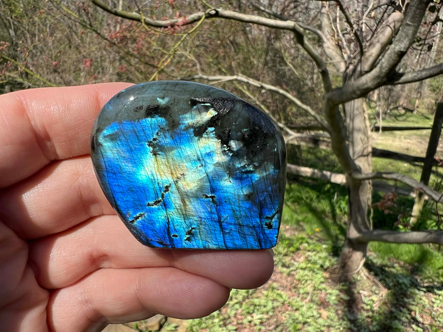 Labradorite Freeform - Mini - Gem Realm 