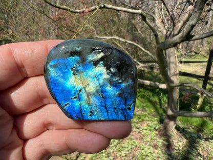 Labradorite Freeform - Mini - Gem Realm 
