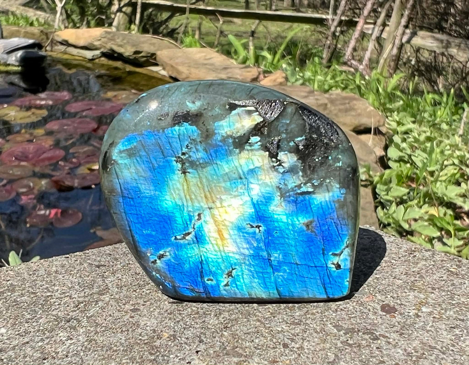 Labradorite Freeform - Mini - Gem Realm 