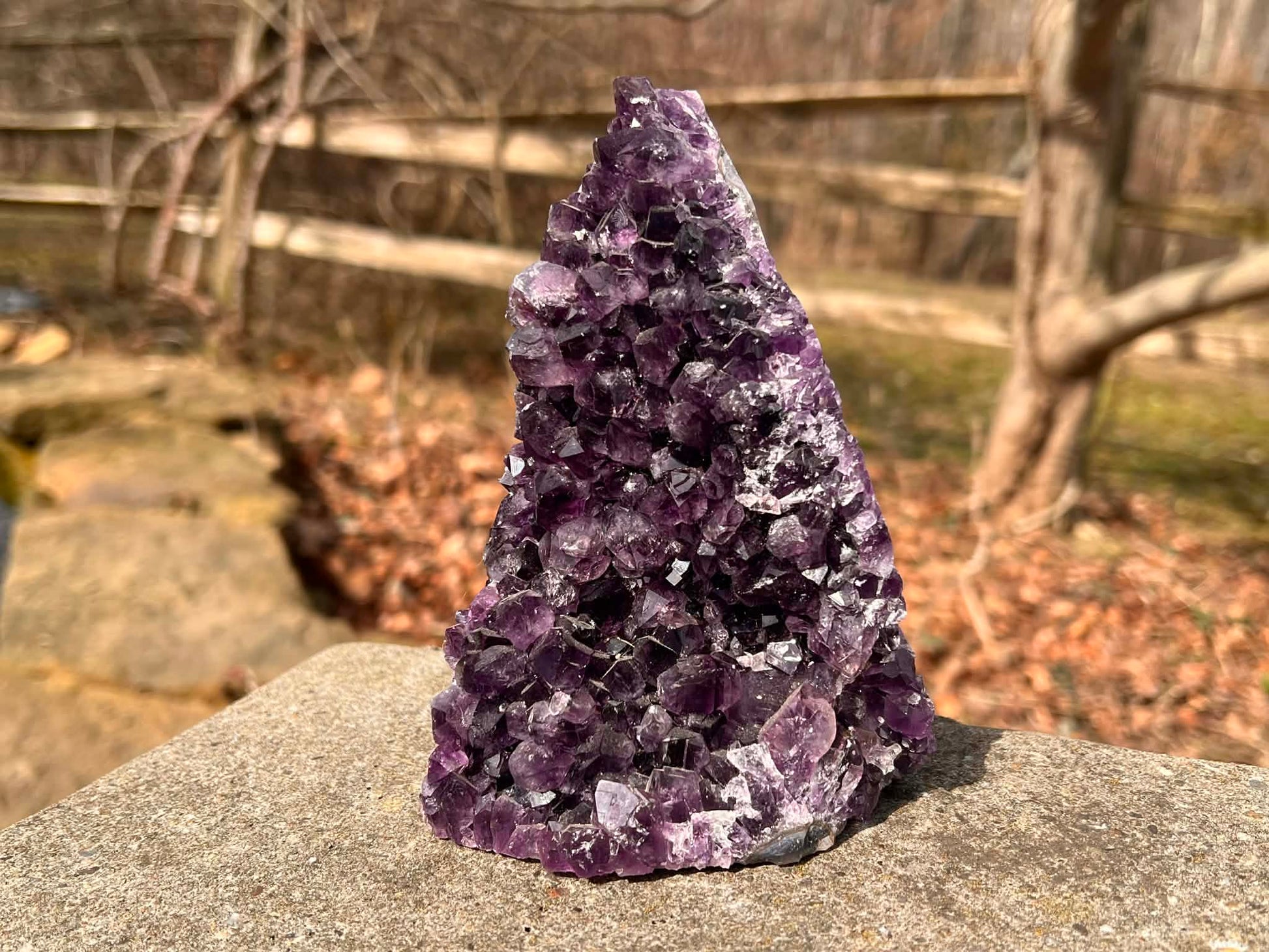 Amethyst Geode - Gem Realm 