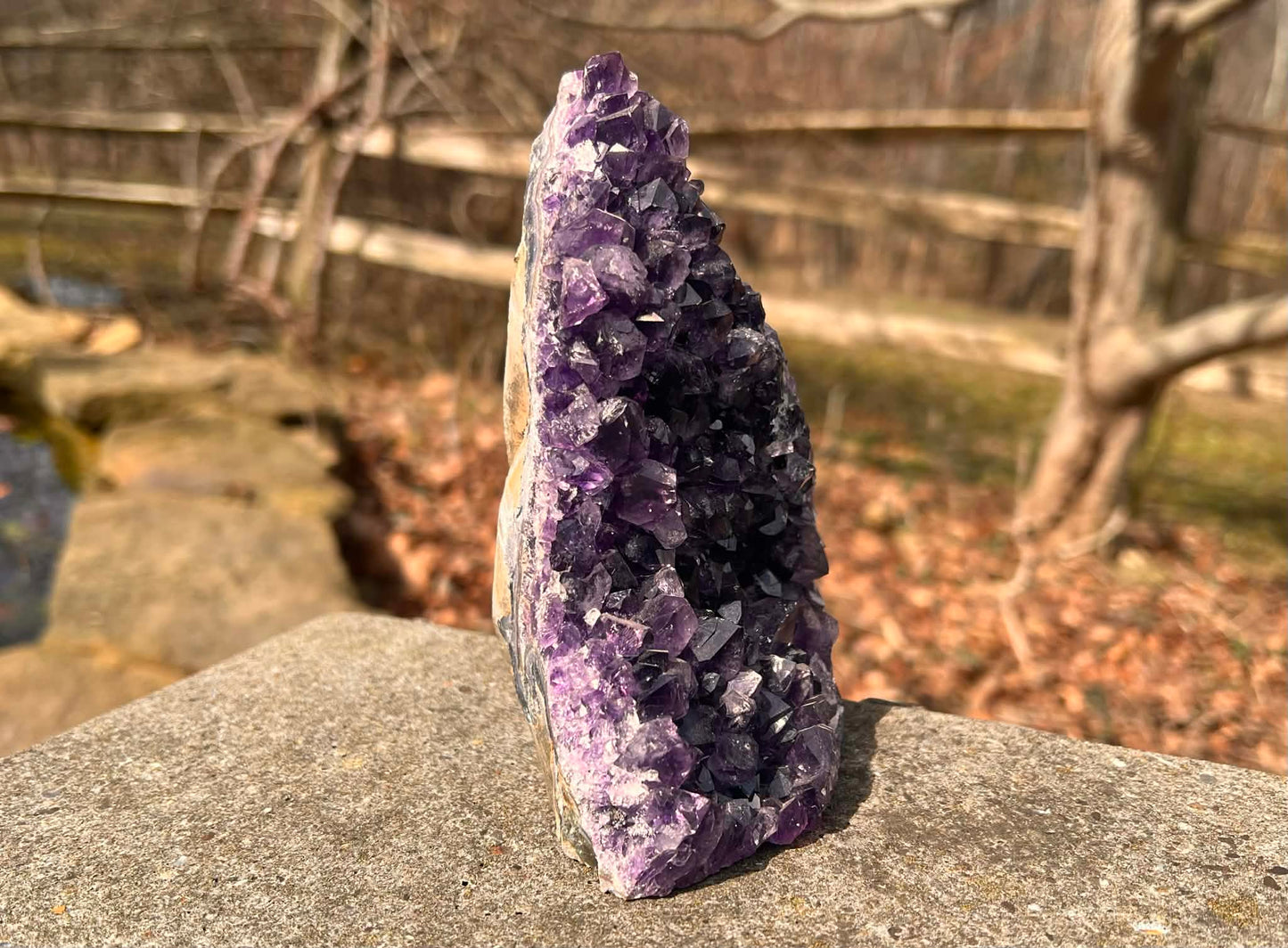 Amethyst Geode - Gem Realm 