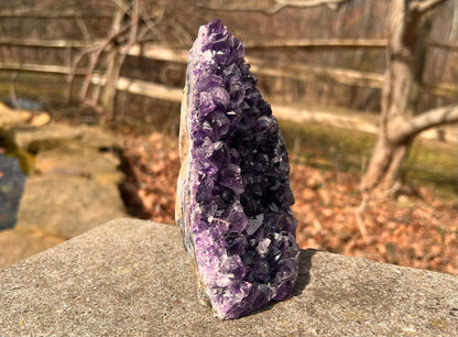 Amethyst Geode - Gem Realm 