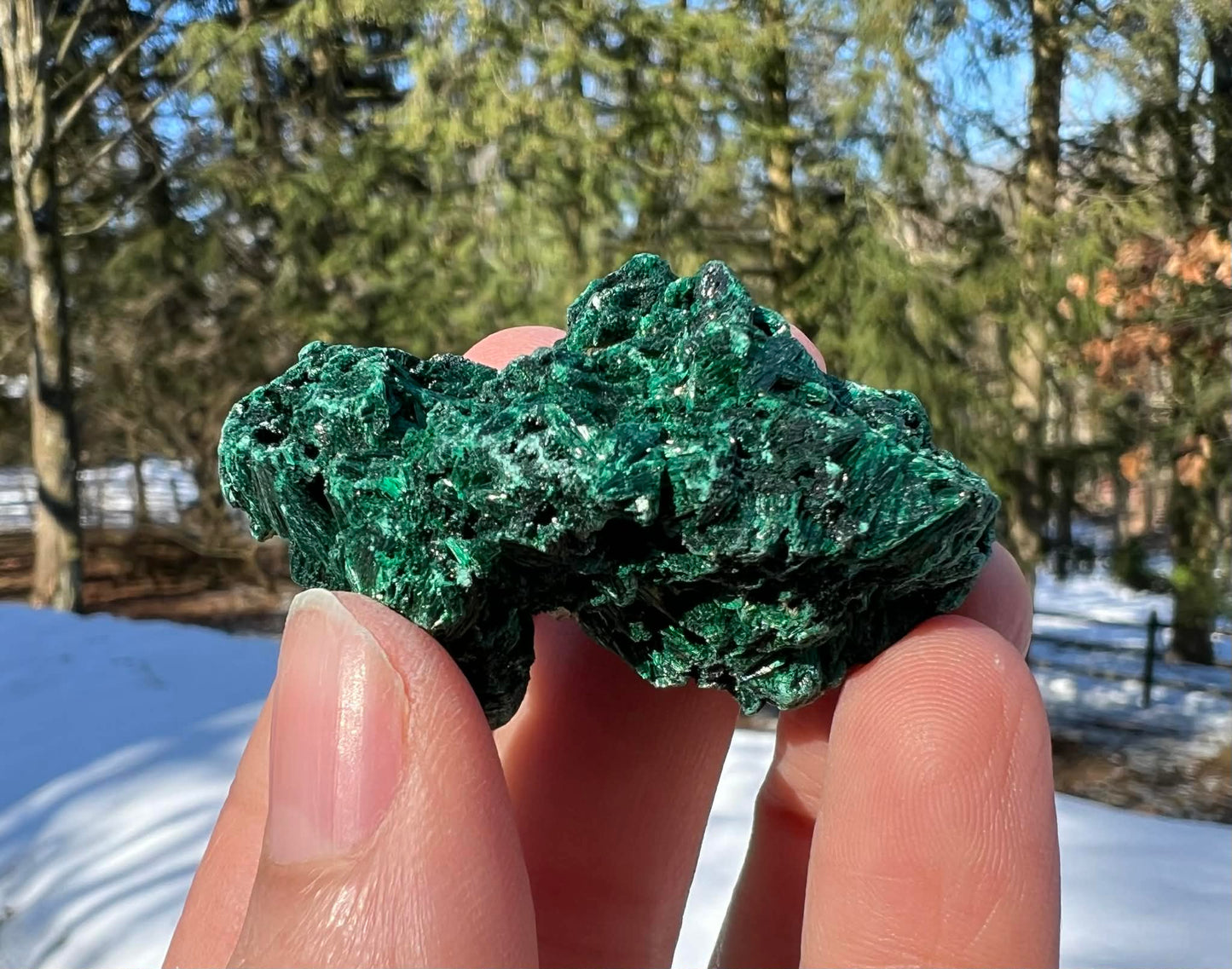 Silk Malachite Specimen #18 - Gem Realm 