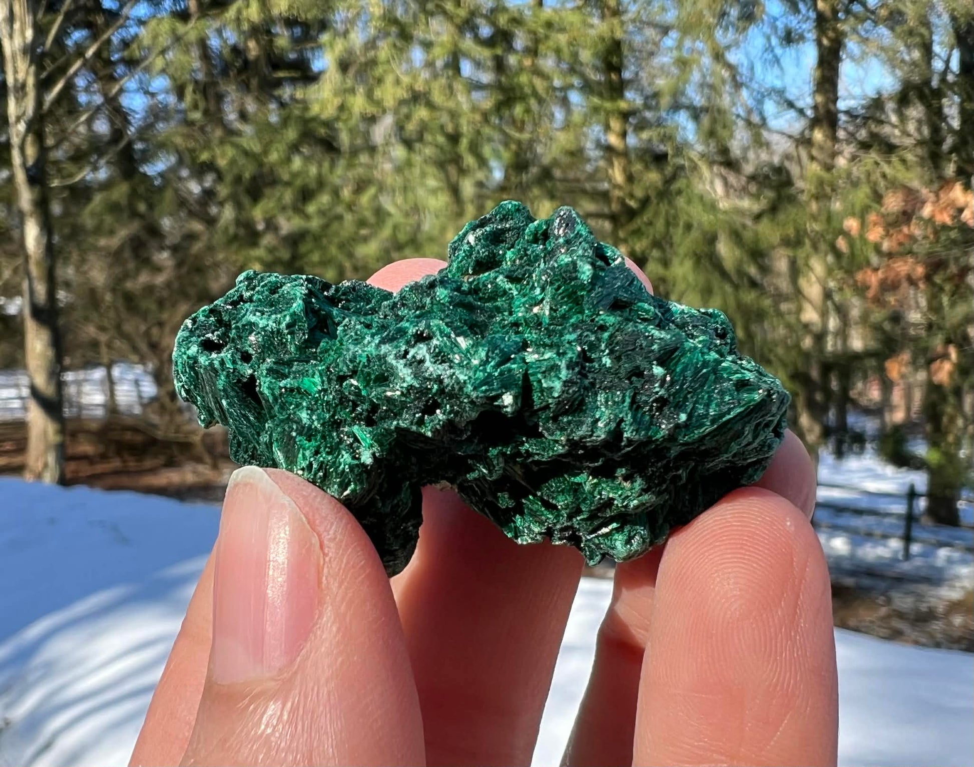 Silk Malachite Specimen #18 - Gem Realm 
