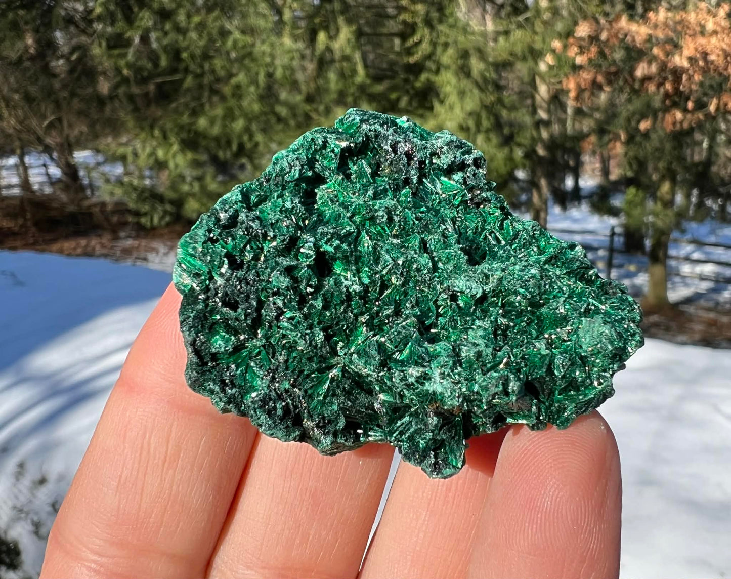 Silk Malachite Specimen #23 - Gem Realm 