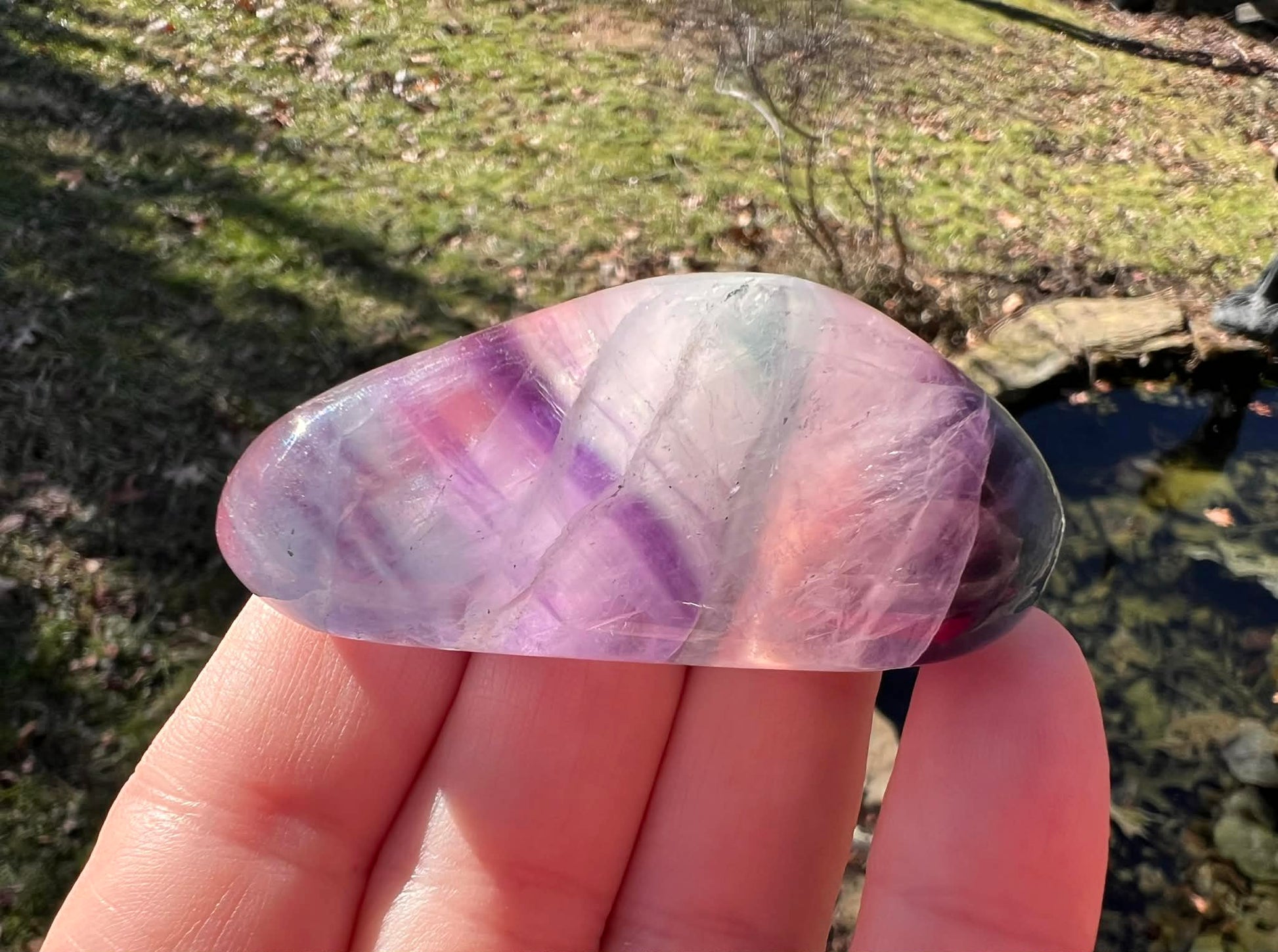 Rainbow Fluorite Palm Stone - Gem Realm 
