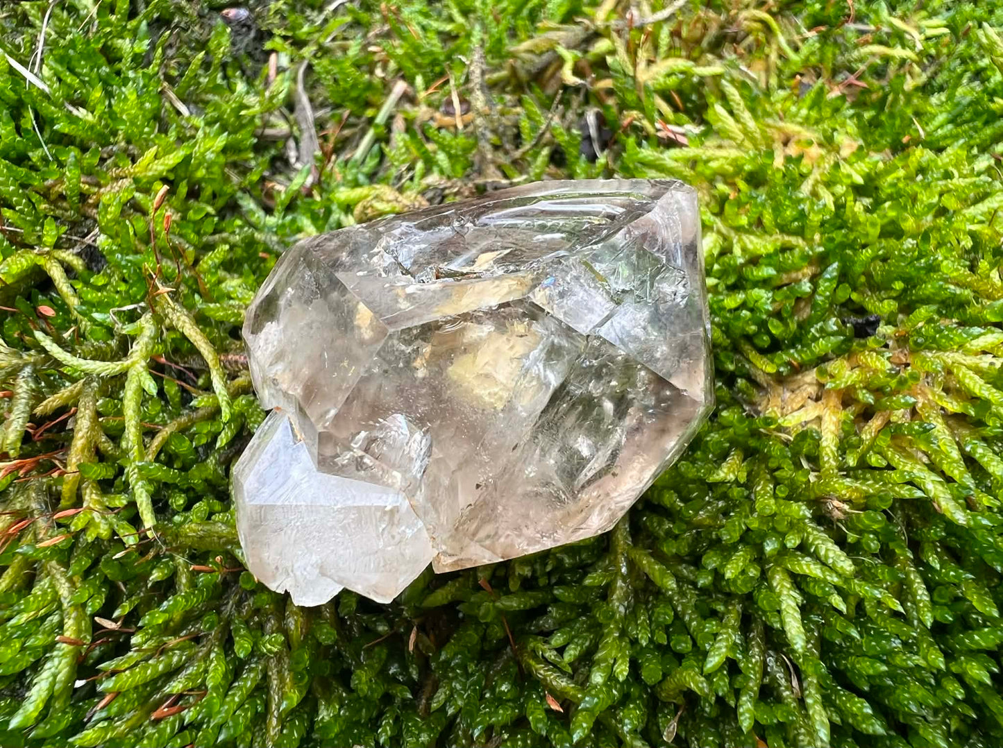 Smoky Elestial Quartz Specimen #10 - Gem Realm 