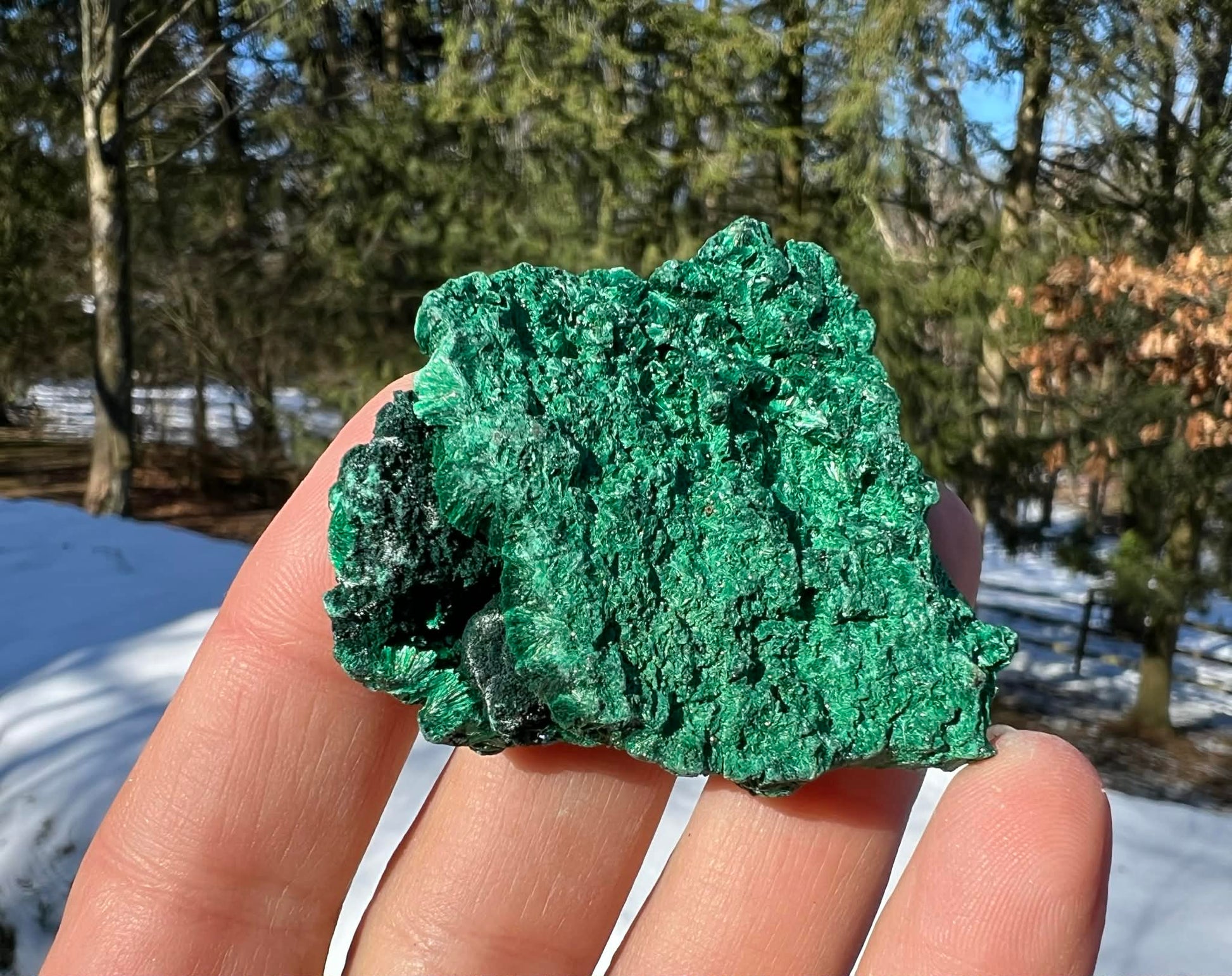 Silk Malachite Specimen #22 - Gem Realm 