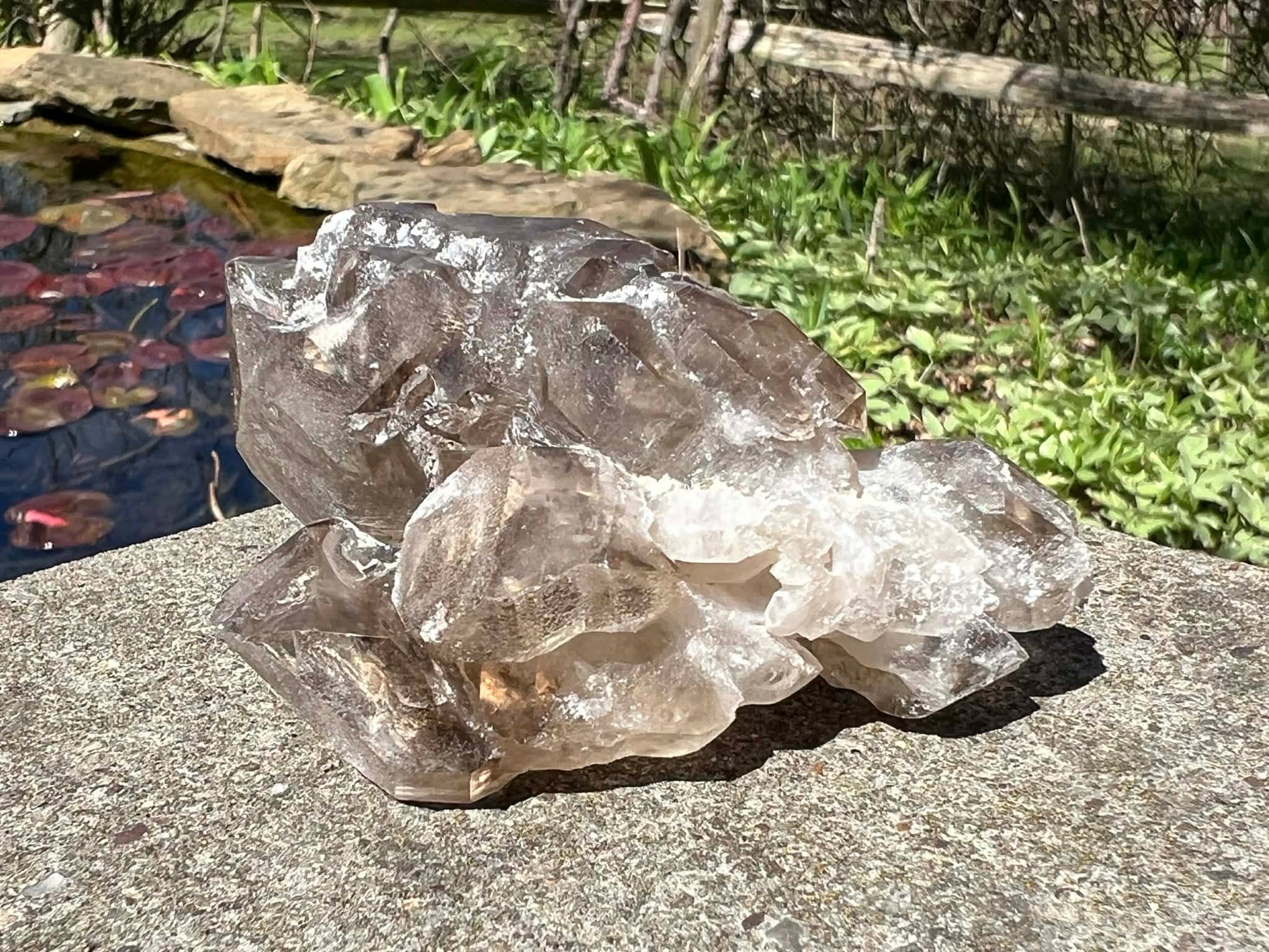 Smoky Elestial Quartz Specimen #9 - Gem Realm 