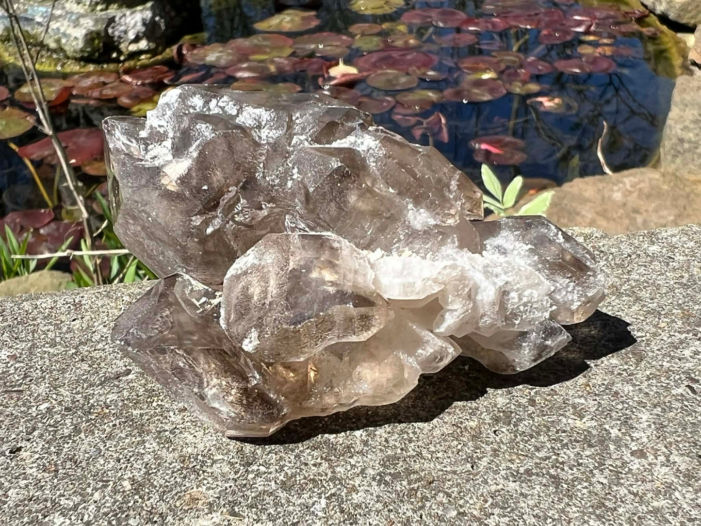 Smoky Elestial Quartz Specimen #9 - Gem Realm 