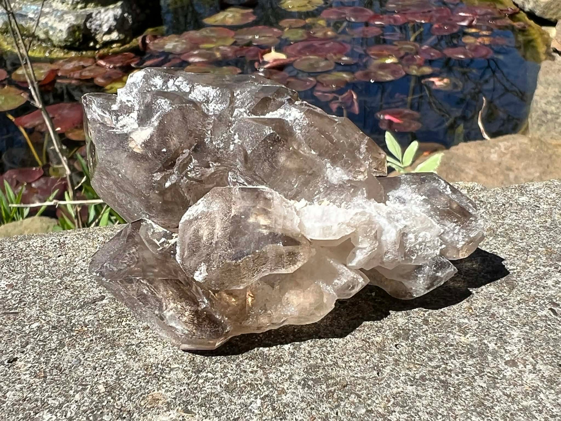 Smoky Elestial Quartz Specimen #9 - Gem Realm 