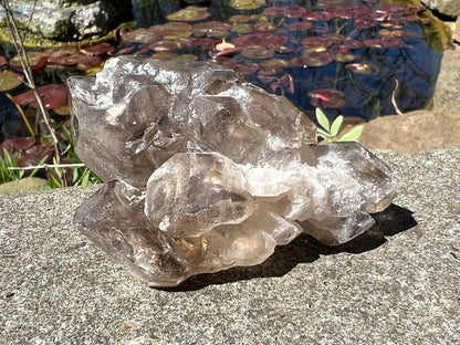 Smoky Elestial Quartz Specimen #9 - Gem Realm 