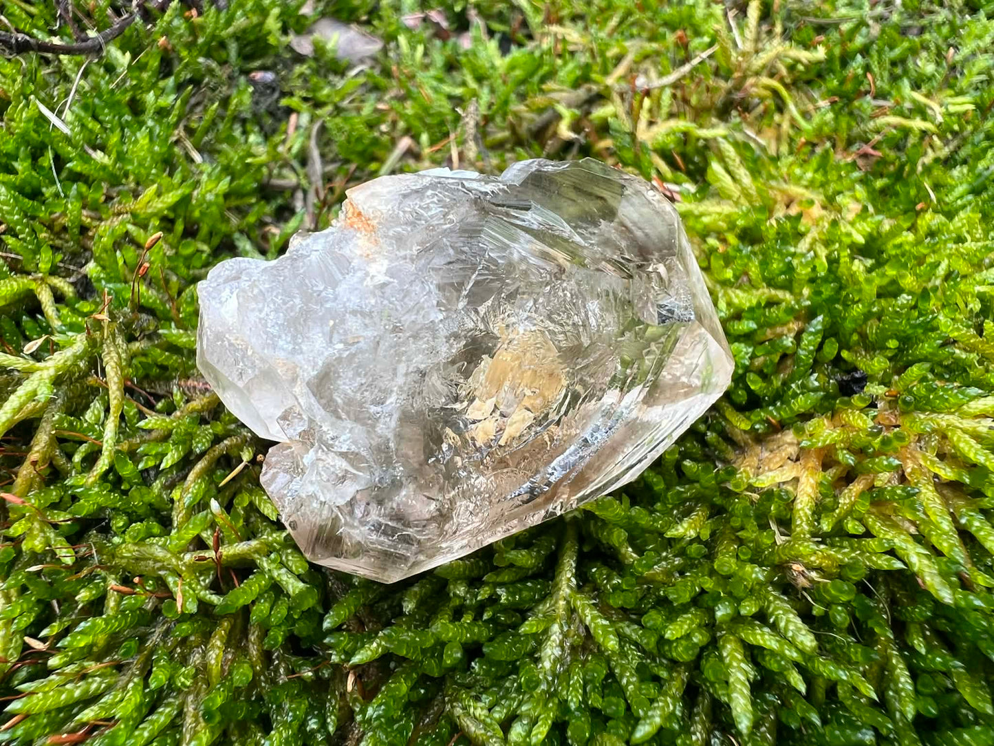Smoky Elestial Quartz Specimen #10 - Gem Realm 