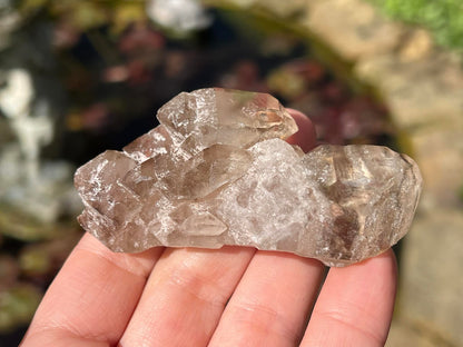 Smoky Elestial Quartz Specimen #7 - Gem Realm 