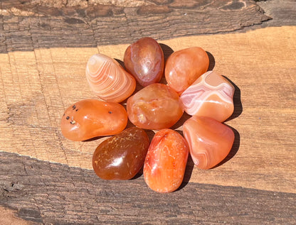 Carnelian Tumbled Stones ~ Small