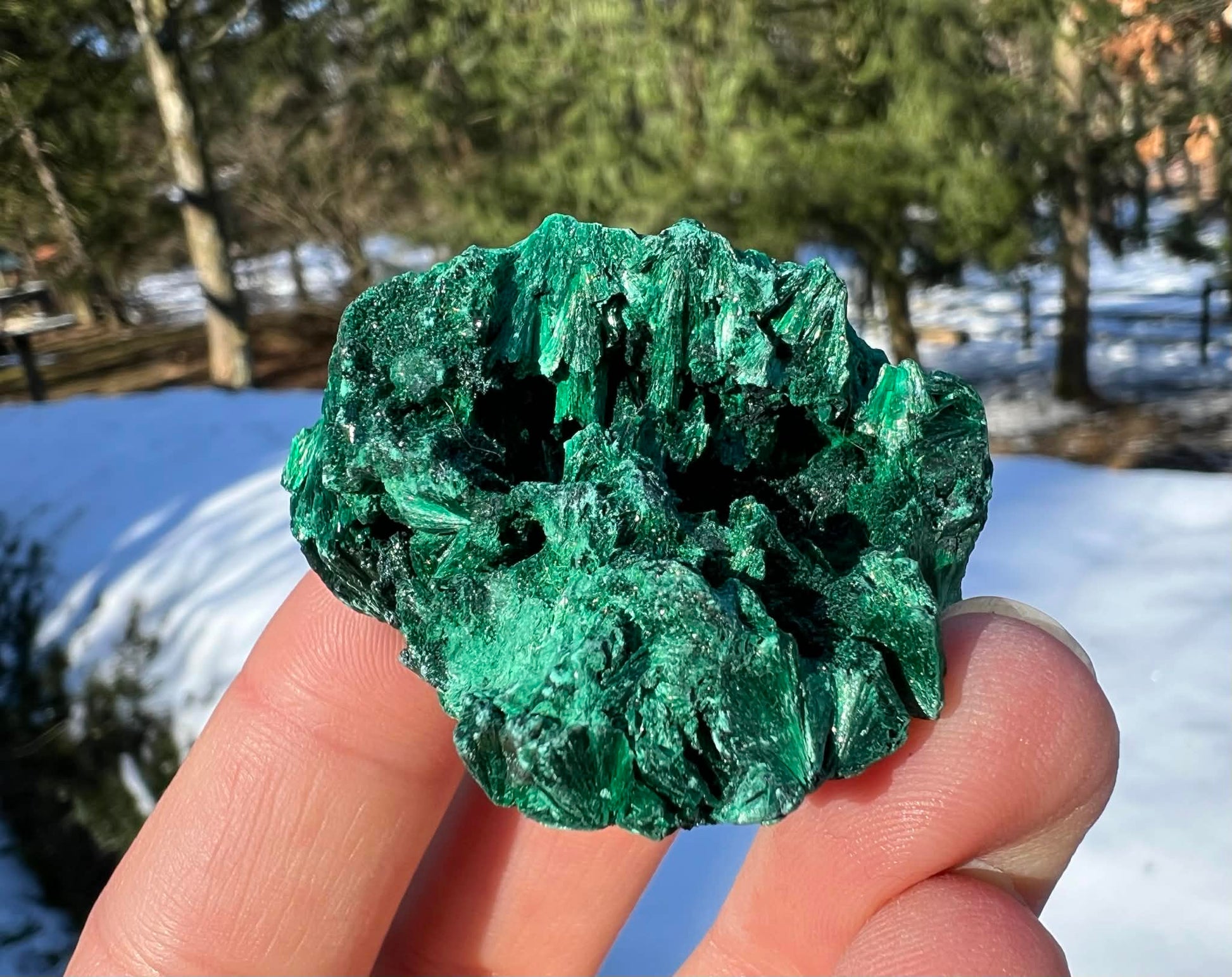 Silk Malachite Specimen #17 - Gem Realm 