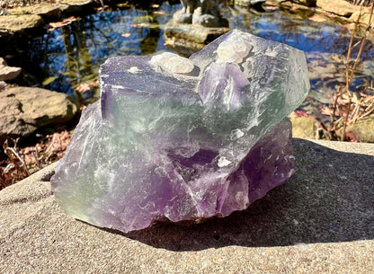 Rainbow Fluorite Specimen - Gem Realm 