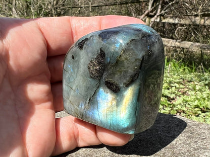 Labradorite Freeform - Gem Realm 