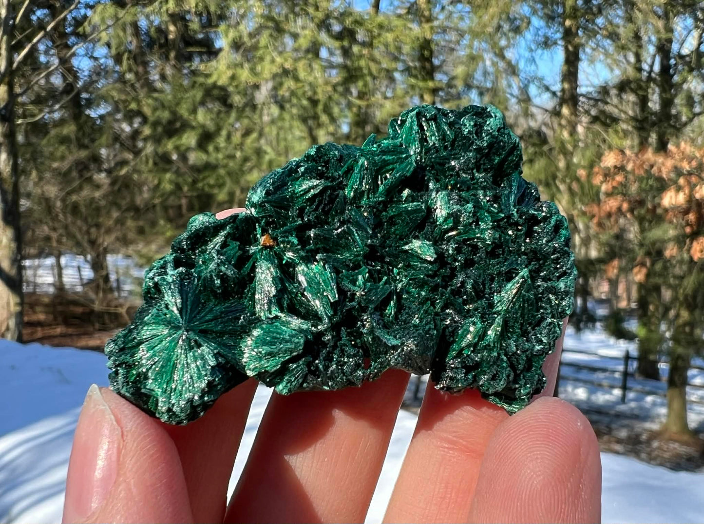Silk Malachite Specimen #19 - Gem Realm 