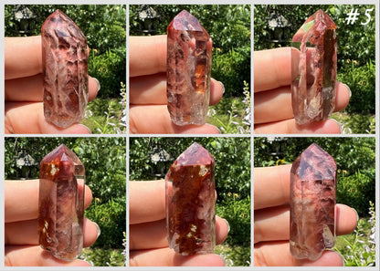 Amphibole Quartz Points