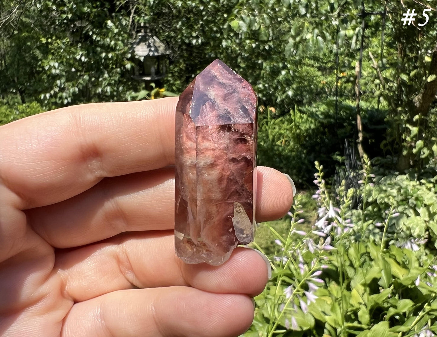 Amphibole Quartz Points
