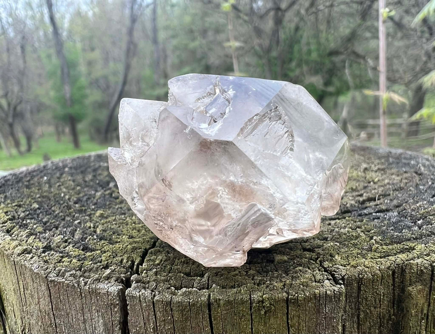 Smoky Elestial Quartz Specimen #13 - Gem Realm 