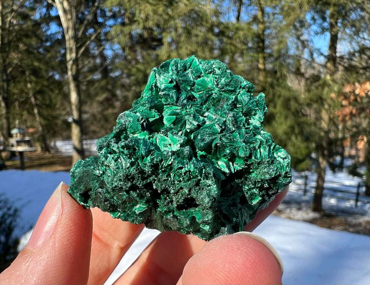 Silk Malachite Specimen #17 - Gem Realm 
