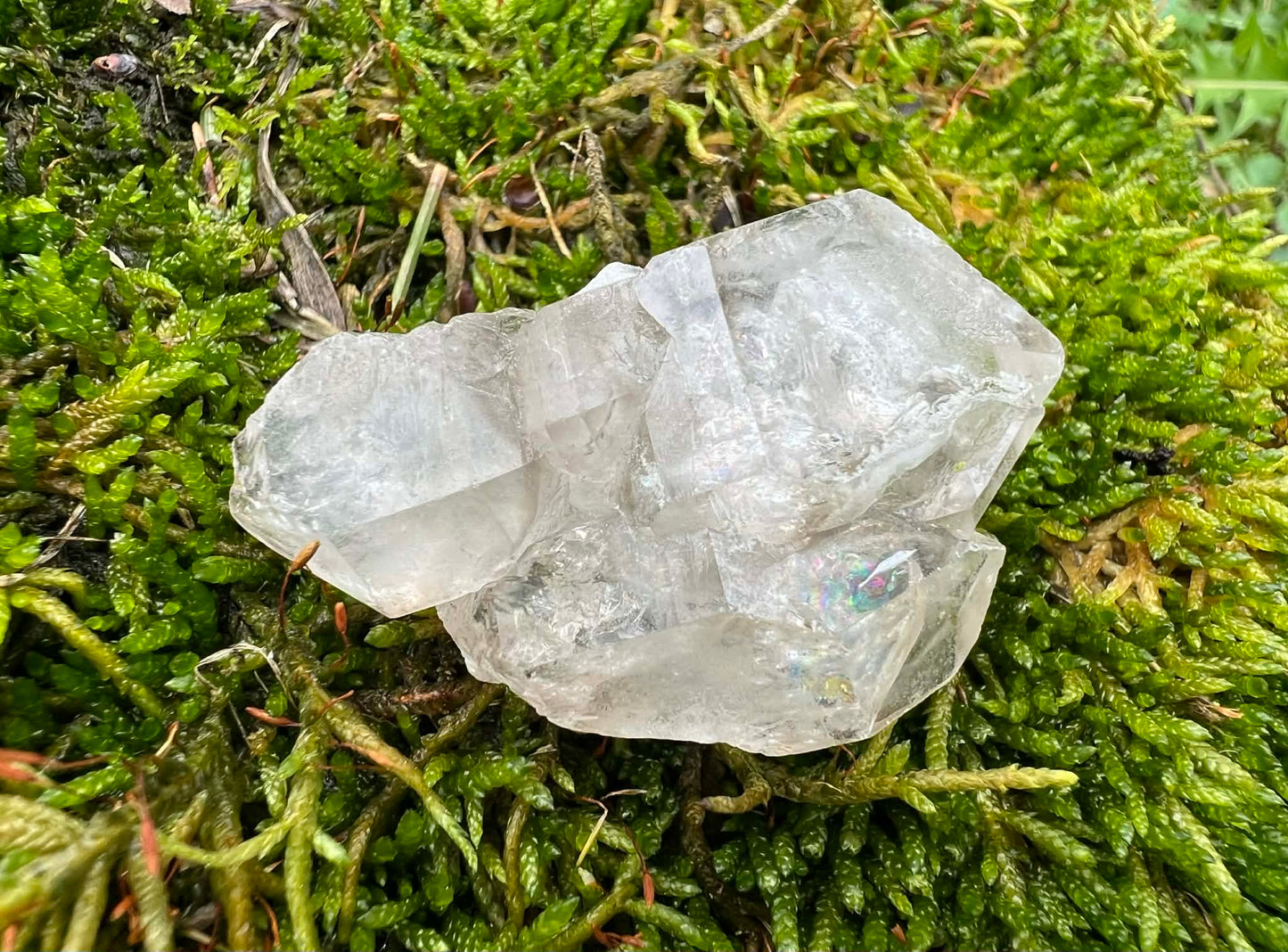 Smoky Elestial Quartz Specimen #11 - Gem Realm 