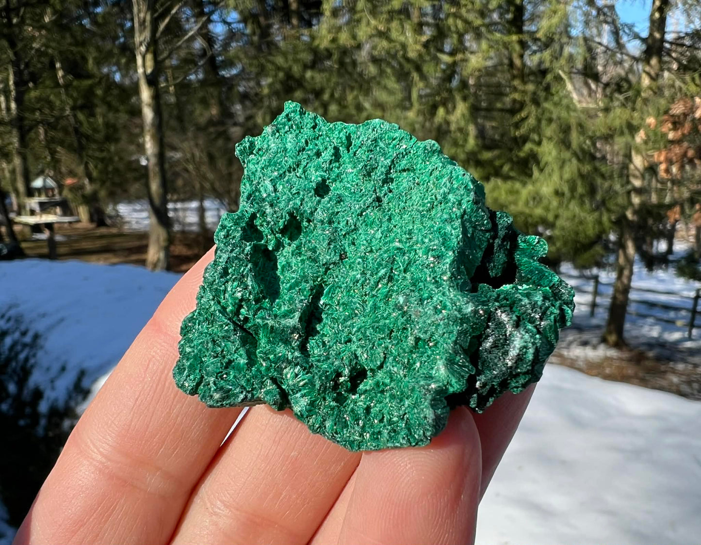 Silk Malachite Specimen #22 - Gem Realm 