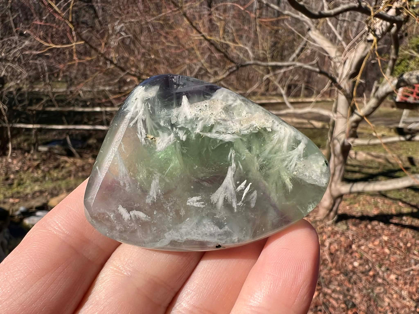 Rainbow Fluorite Palm Stone