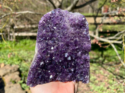 Amethyst Geode - Gem Realm 