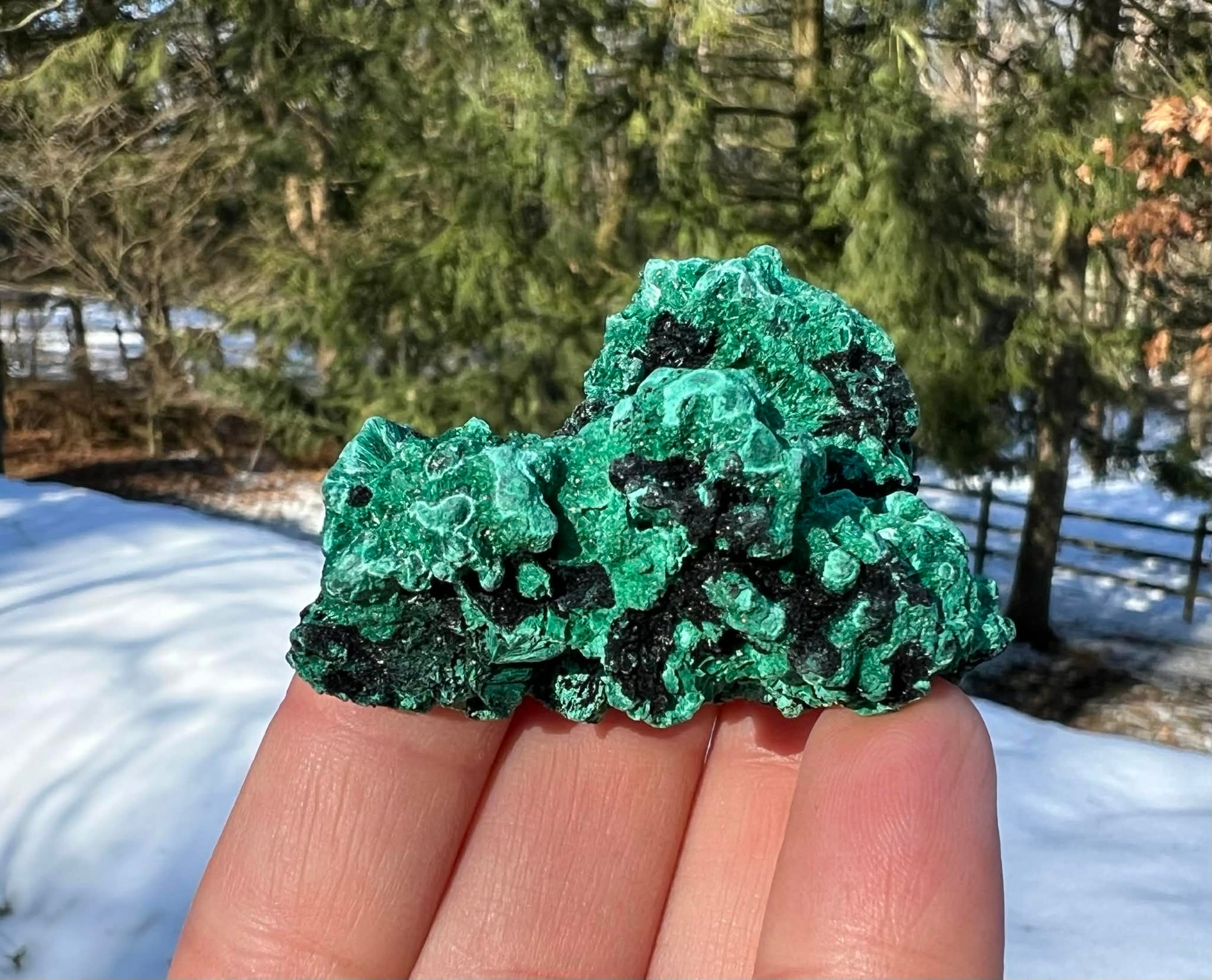 Silk Malachite Specimen #9 - Gem Realm 
